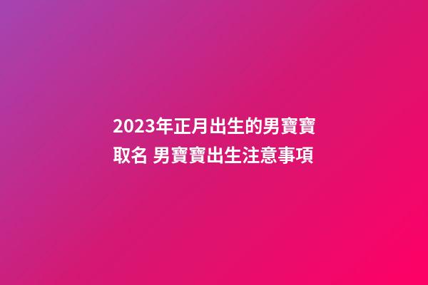 2023年正月出生的男寶寶取名 男寶寶出生注意事項